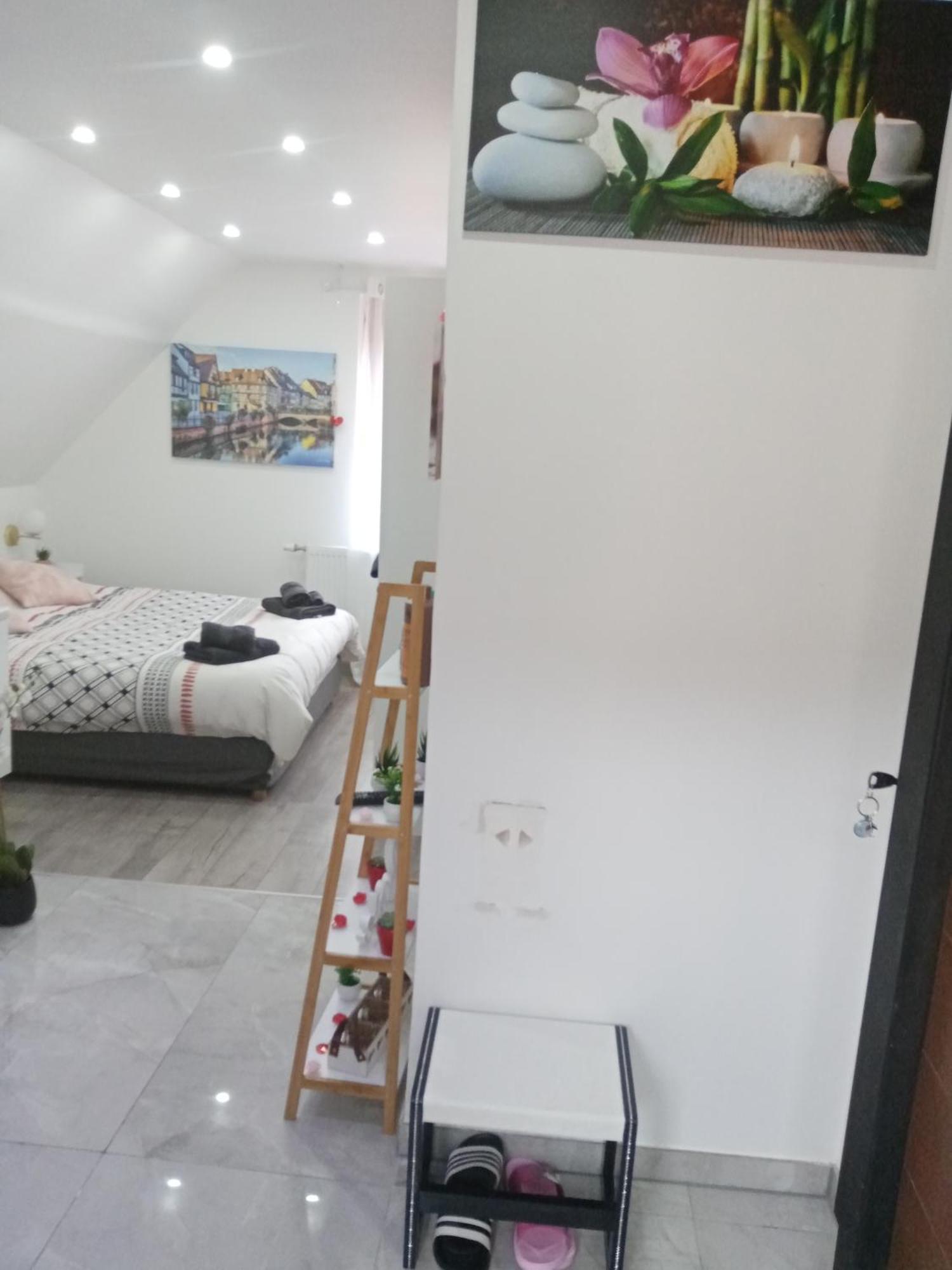 Studio Jacuzzi Au Centre Colmar Habitación foto